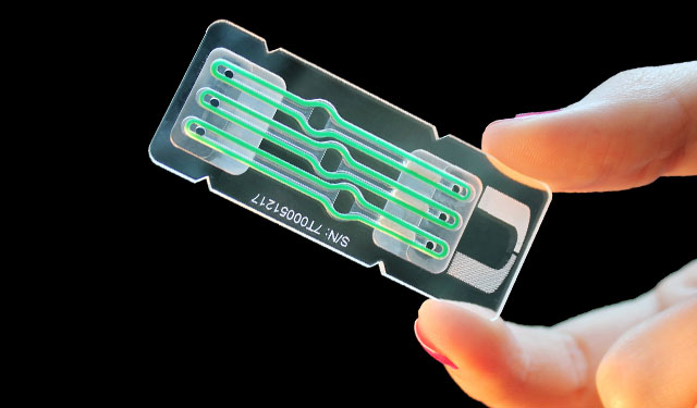 Organ on a Chip